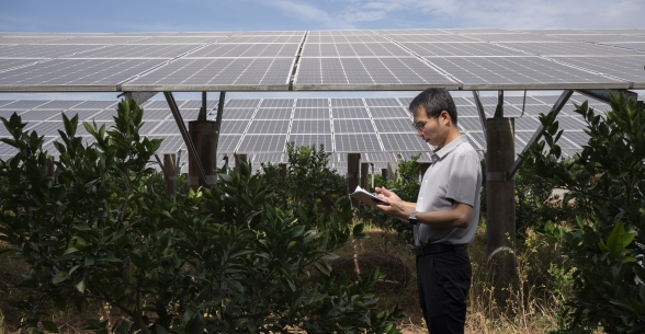 Worker taking notes amid agriculture and solar panels