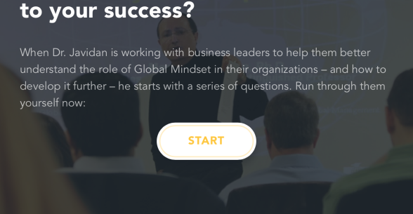 Global Mindset Quiz