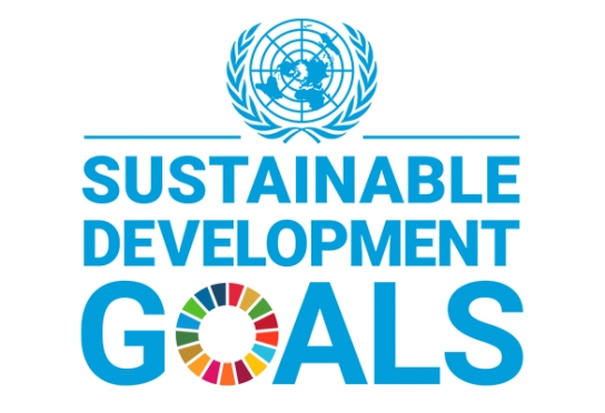 United Nations Sustainable Development Goals Logo